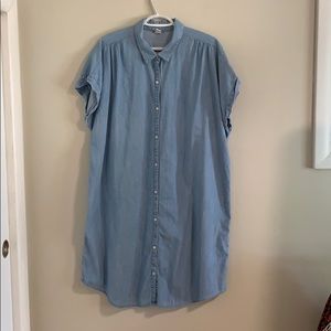 Plus Sized Denim dress